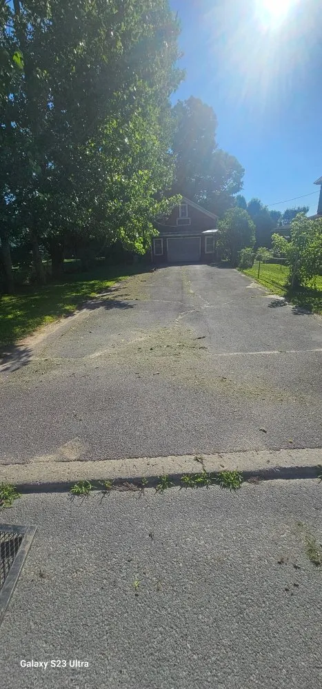 Trusted yard cleanup service experts serving Antwerp, NY - A&B lawn mowing