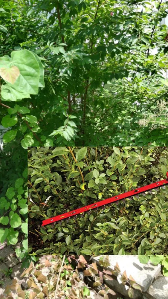 Expert outdoor landscaping in Oakville, MO - AB Lawn