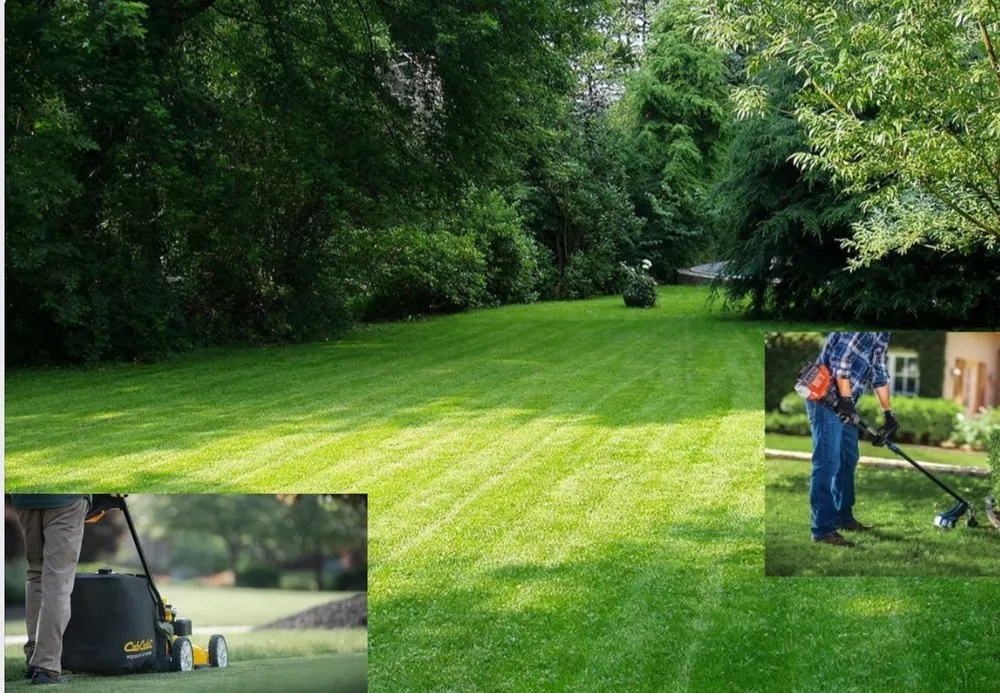 Local yard cleanup service experts serving Oakville, MO - AB Lawn