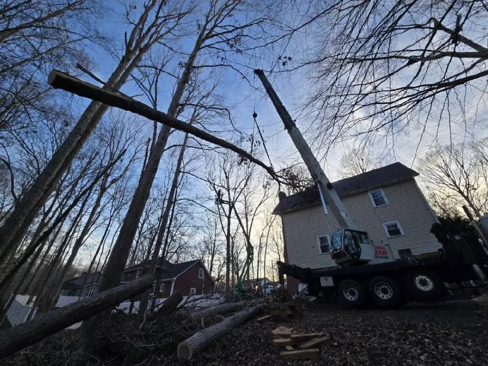 Trusted landscape design experts serving Corpus Christi, TX - AB Lawn Pros