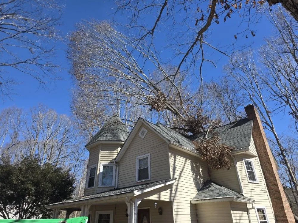 Trusted outdoor landscaping for outdoor upgrades in Corpus Christi, TX by AB Lawn Pros