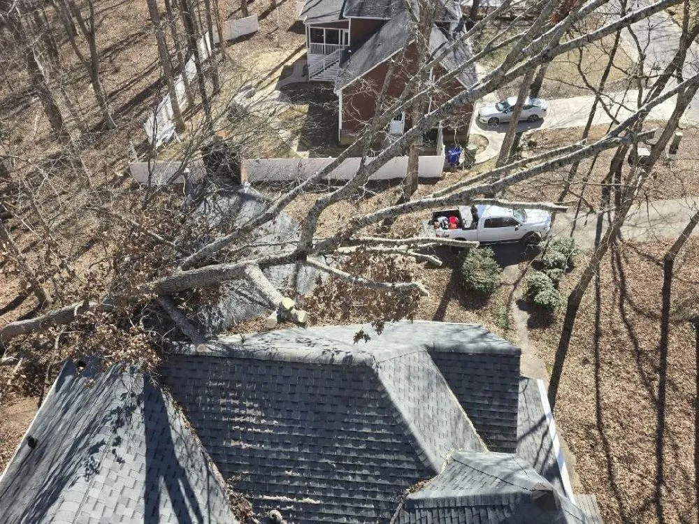 Professional lawn mowing service experts serving Corpus Christi, TX - AB Lawn Pros