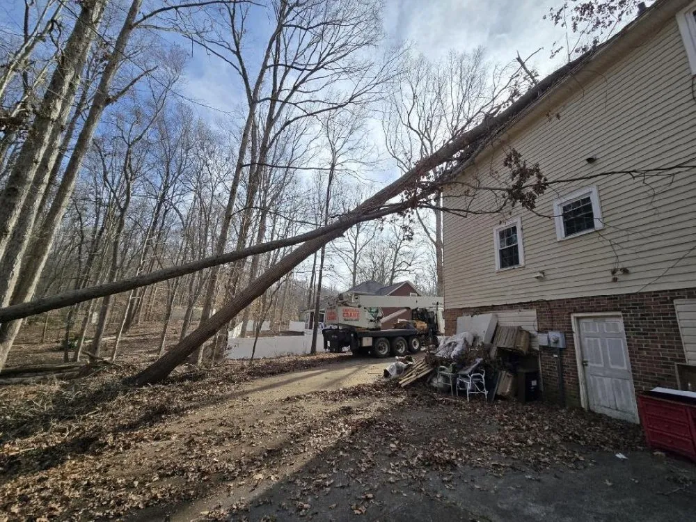 Trusted landscape installation in Corpus Christi, TX by AB Lawn Pros
