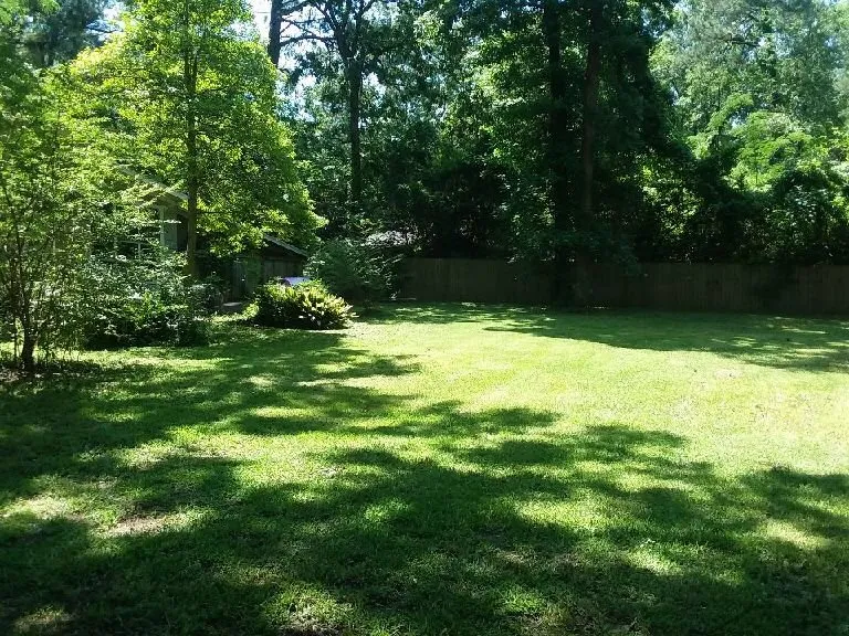 Local yard cleanup service experts serving Madison, MS - AB Lawn Service