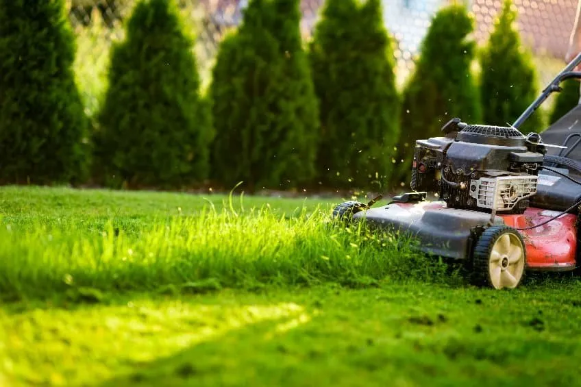 Expert garden landscaping in Midlothian, TX by A&B Lawn Service