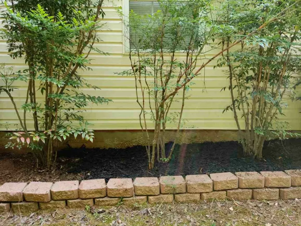 Trusted yard cleanup service near you across Hiram, GA - A&B Lawn Services