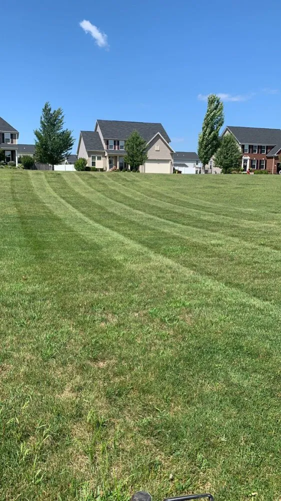 Local landscaping services experts serving Monroe Center, IL - A&B lawn services