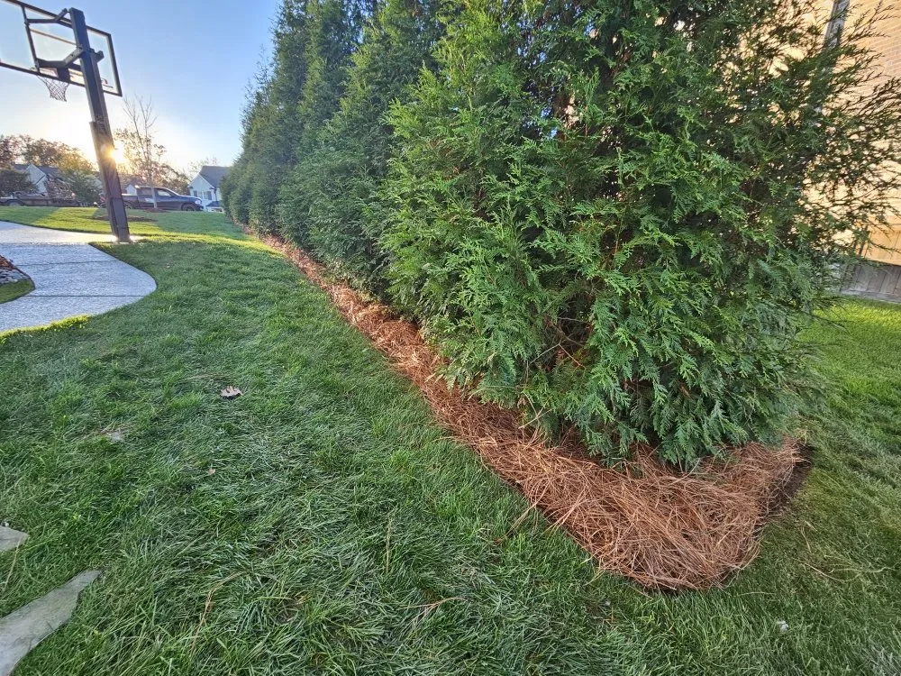 Expert landscaping services experts serving Spring Hill, TN - AB Lawncare and Landscaping