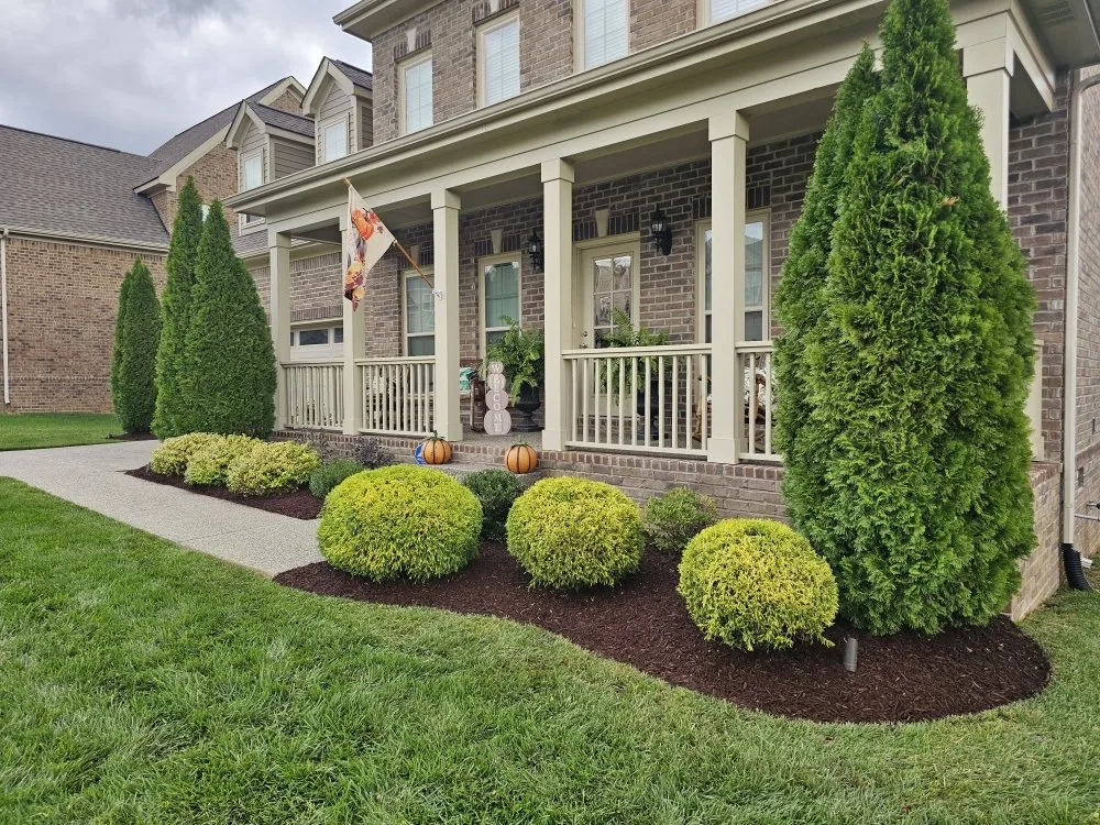 Local yard cleanup service experts serving Spring Hill, TN - AB Lawncare and Landscaping