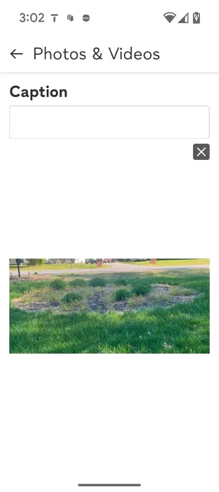 Top-rated yard maintenance in Maidens, VA - A&B Lawncare