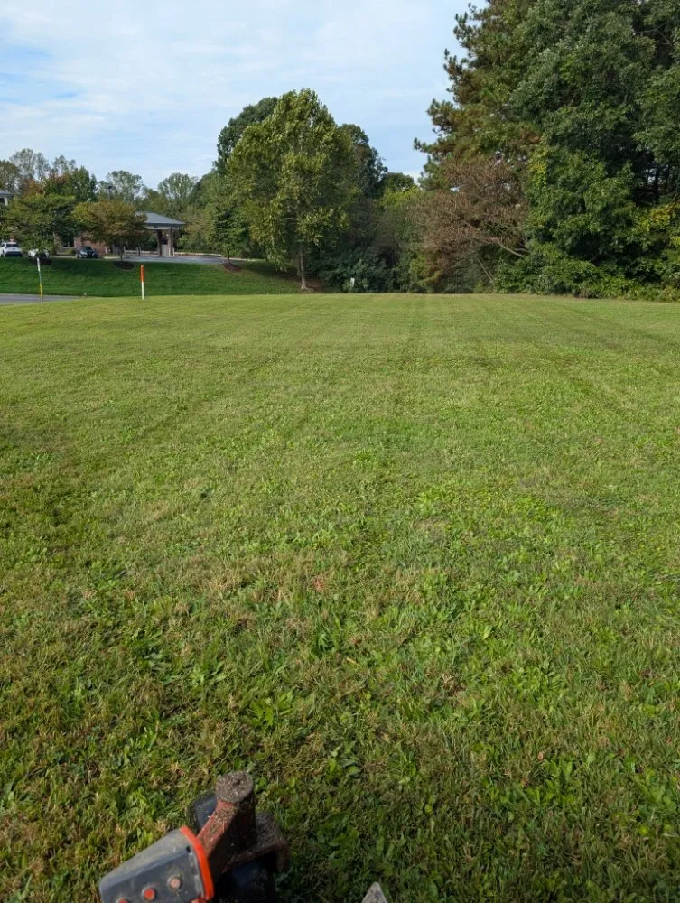 Custom lawn mowing service in Maidens, VA - A&B Lawncare