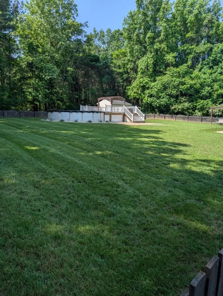 Affordable yard cleanup service for year-round maintenance in Maidens, VA by A&B Lawncare