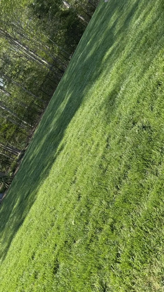 Top-rated residential landscaping experts serving Maidens, VA - A&B Lawncare