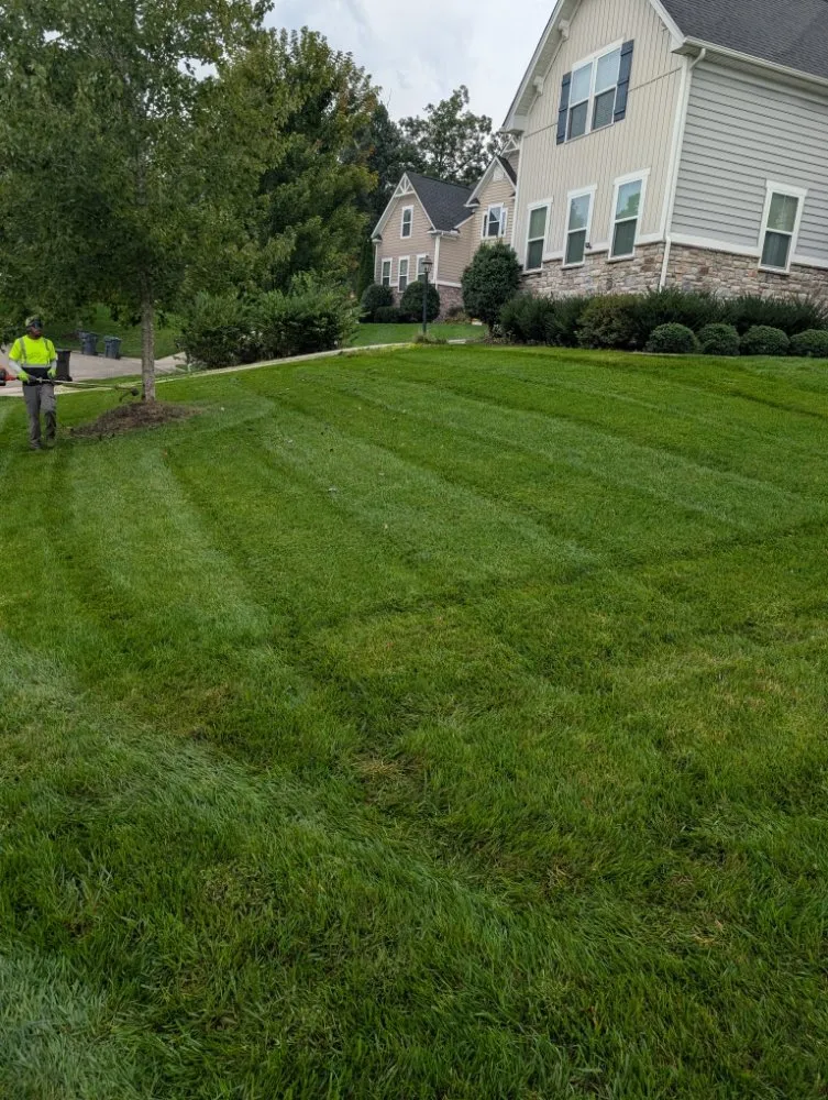 Local residential landscaping experts serving Maidens, VA - A&B Lawncare