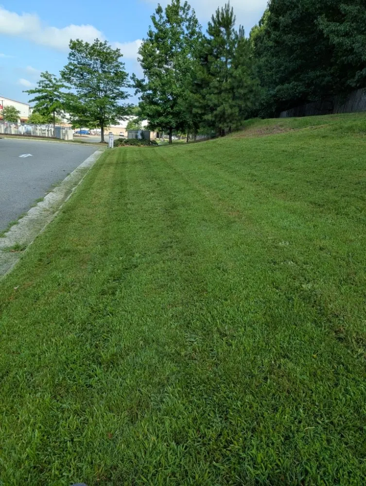 Custom lawn mowing service for year-round maintenance in Maidens, VA by A&B Lawncare