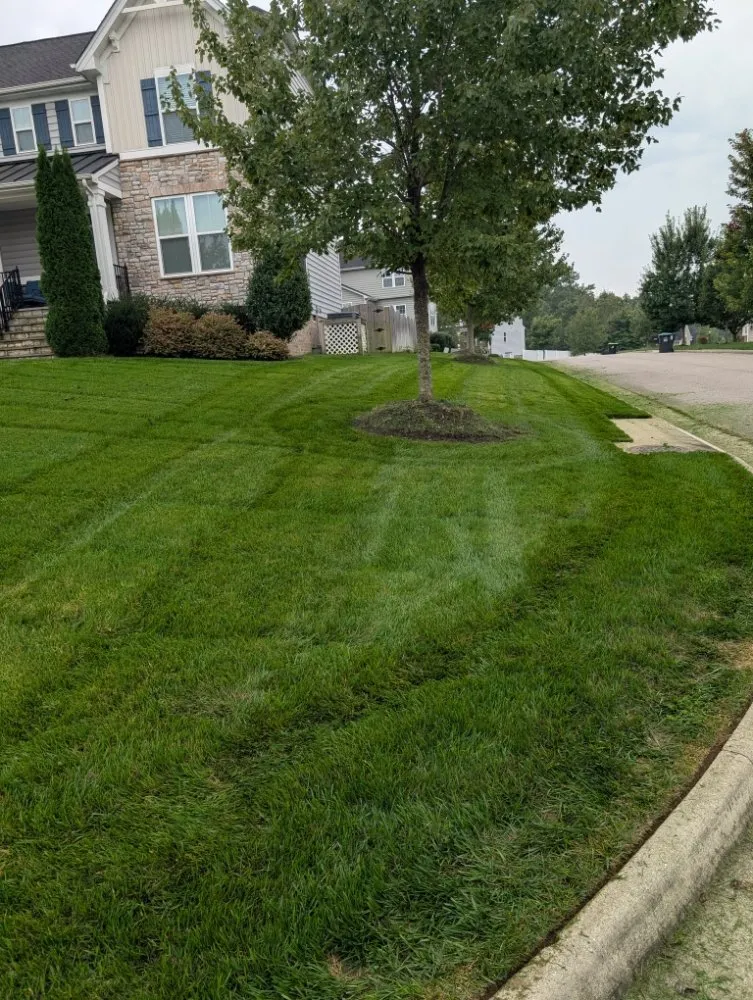 Local landscape installation for residential properties in Maidens, VA by A&B Lawncare