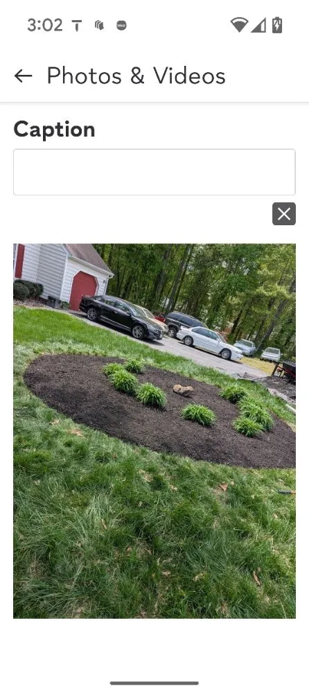 Affordable yard cleanup service for beautiful yards across Maidens, VA - A&B Lawncare