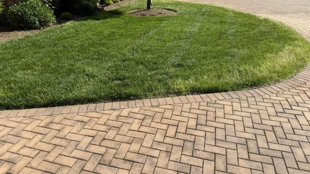 Top-rated lawn care service experts serving Maidens, VA - A&B Lawncare