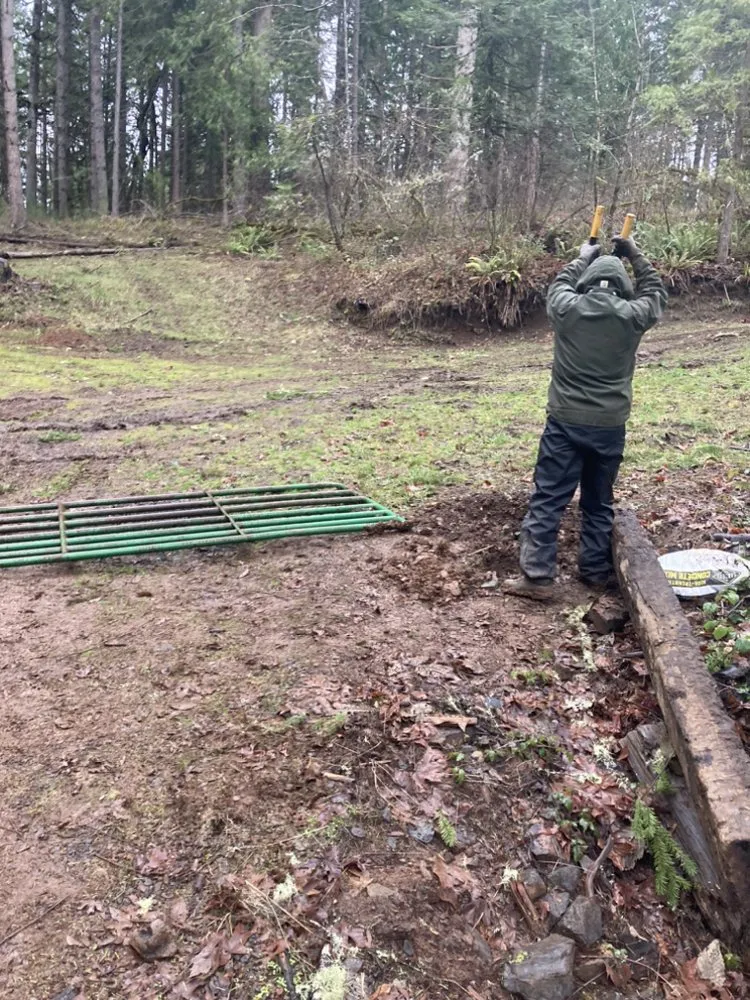 Trusted landscaping services in Creswell, OR by A&B Lawncare Service