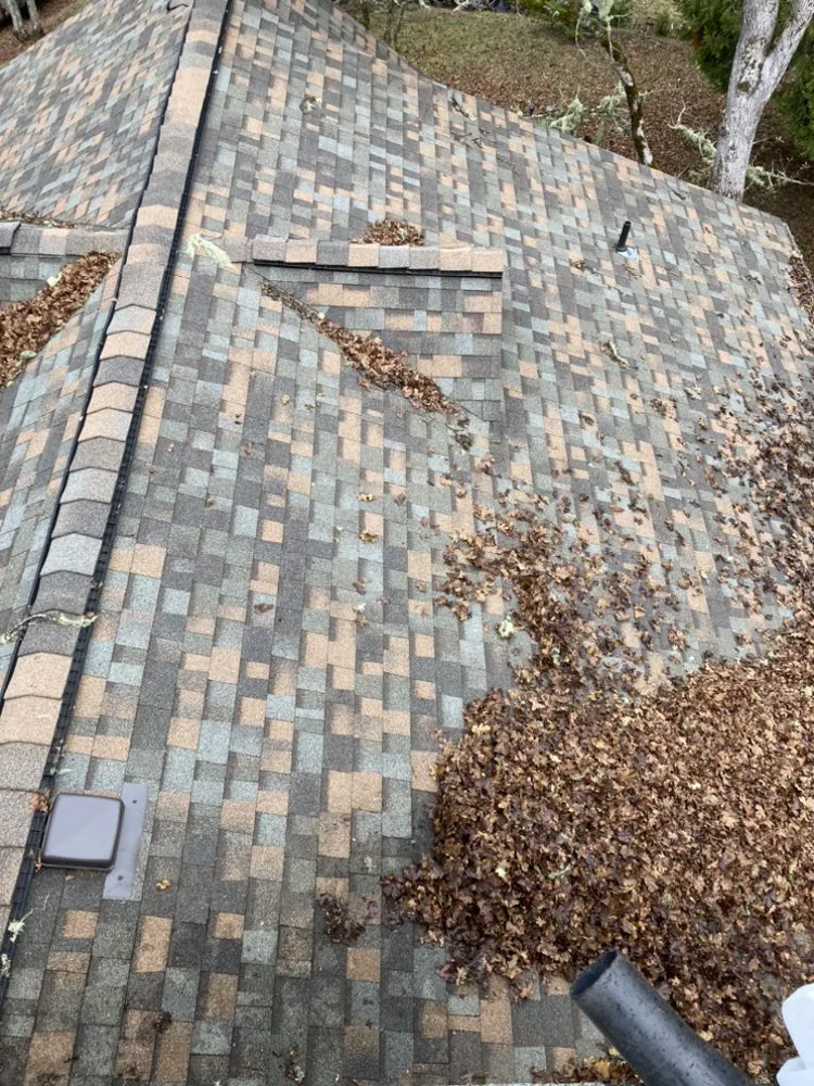 Professional lawn care service in Creswell, OR by A&B Lawncare Service