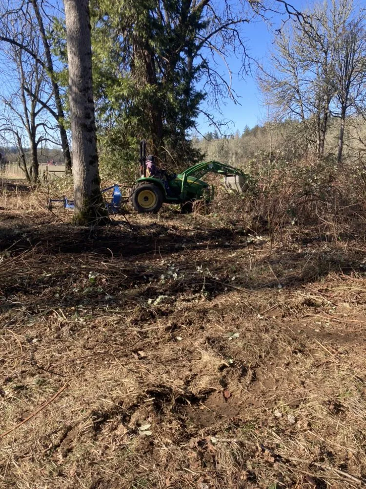 Professional residential landscaping with custom design across Creswell, OR - A&B Lawncare Service