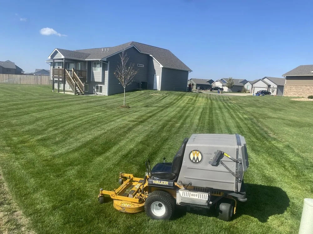 Top-rated yard cleanup service in Wichita, KS - AB Mowing
