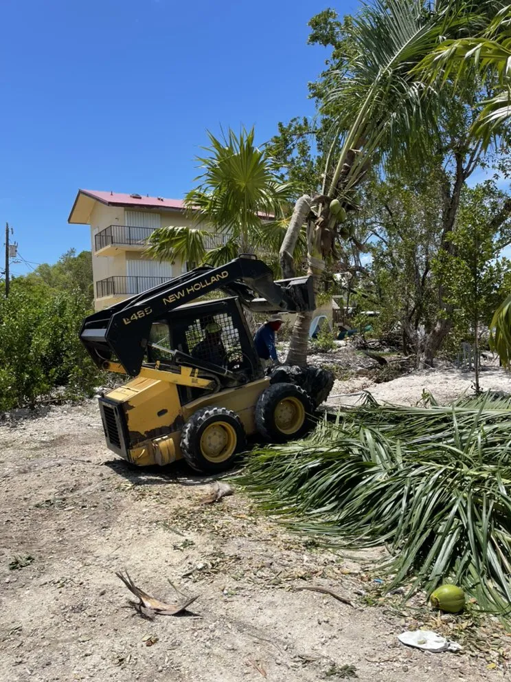 Top-rated yard cleanup service with custom design across Homestead, FL - A&B Nursery And Landscaping Inc