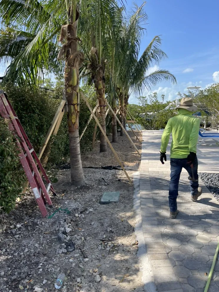 Professional garden landscaping experts serving Homestead, FL - A&B Nursery And Landscaping Inc