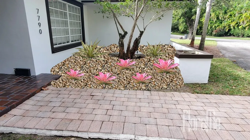 Top-rated lawn mowing service in Homestead, FL - A&B Nursery And Landscaping Inc