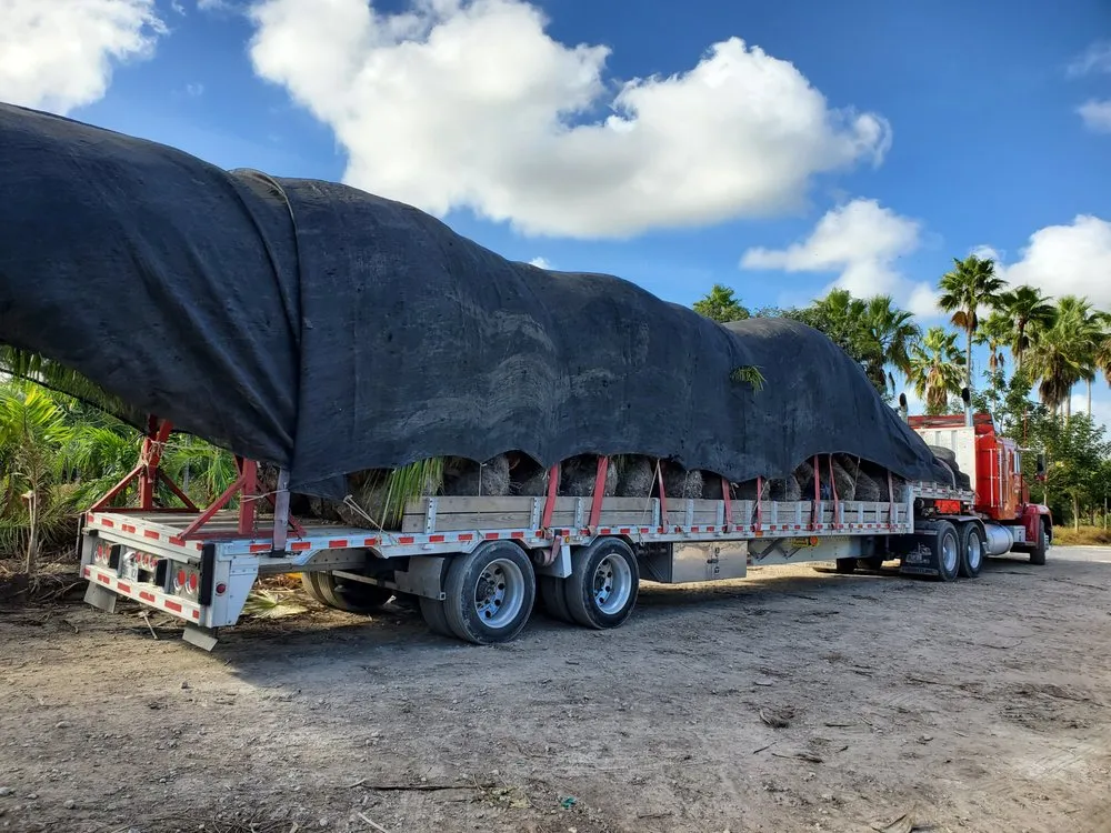 Reliable landscaping services experts serving Homestead, FL - A&B Nursery And Landscaping Inc