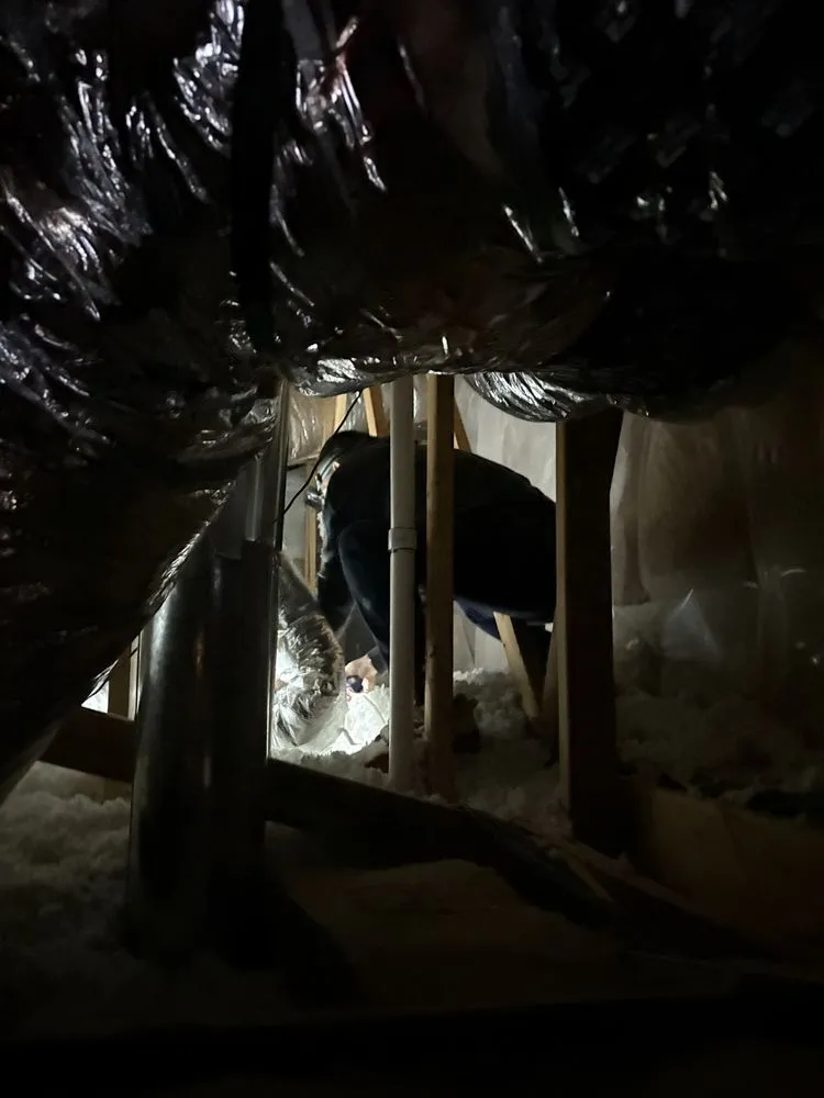 Affordable lawn care service in Boise, ID - AB Pristine Homes