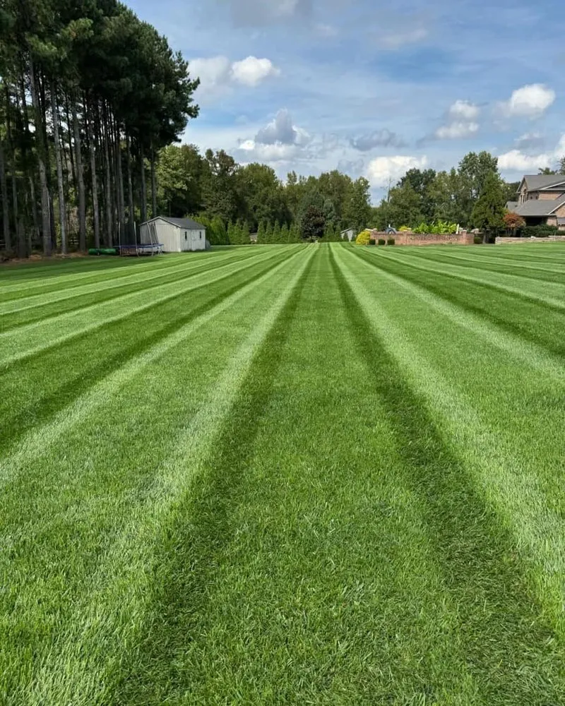 Expert landscaping services for beautiful yards in Carleton, MI by A&B Property Management