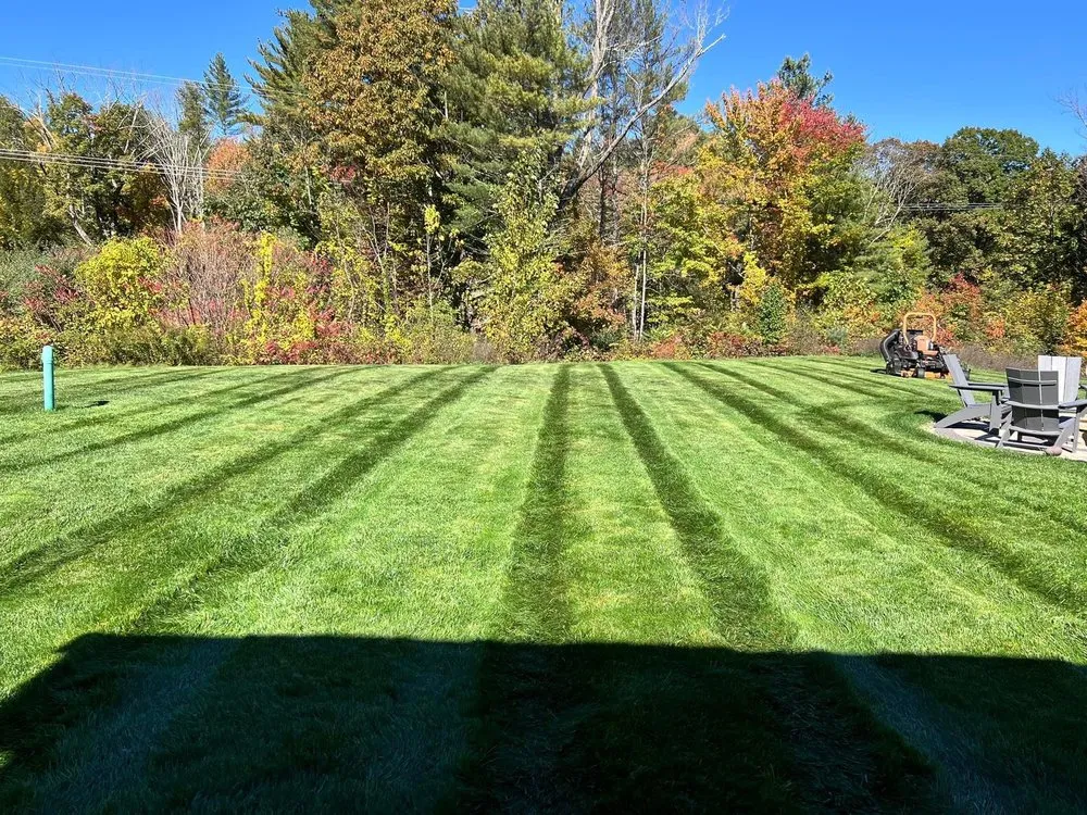 Trusted lawn mowing service experts serving Carleton, MI - A&B Property Management