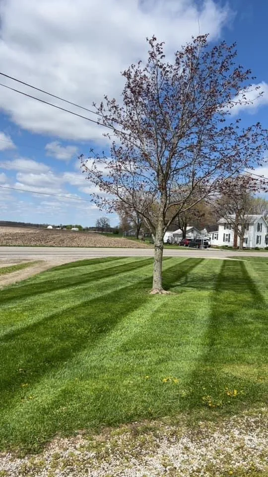 Local landscape installation for homes in Carleton, MI by A&B Property Management