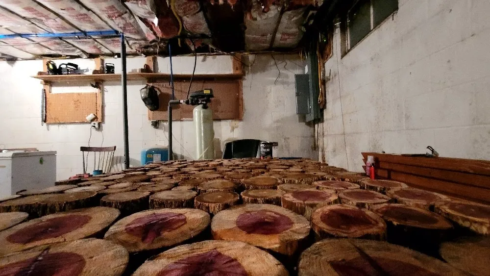 Affordable landscaping services in Millville, NJ - A&B Rough Scapes