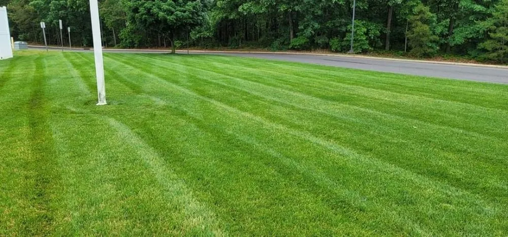 Custom landscape design in Millville, NJ by A&B Rough Scapes