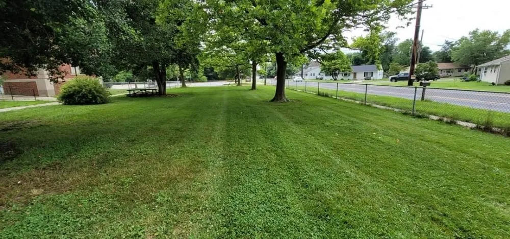 Expert yard cleanup service in Millville, NJ - A&B Rough Scapes