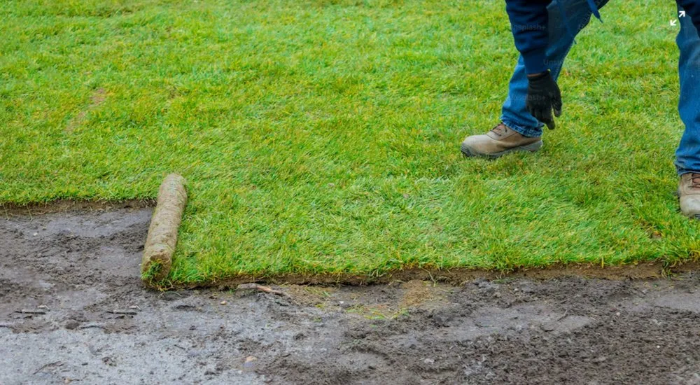 Expert yard cleanup service with custom design in Princeton, NJ by A&B Sanchez Landscaping