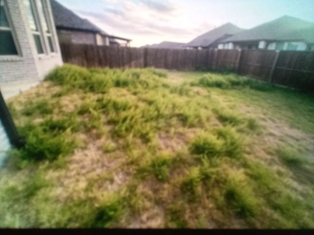 Expert yard maintenance experts serving Cedar Hill, TX - AB Services