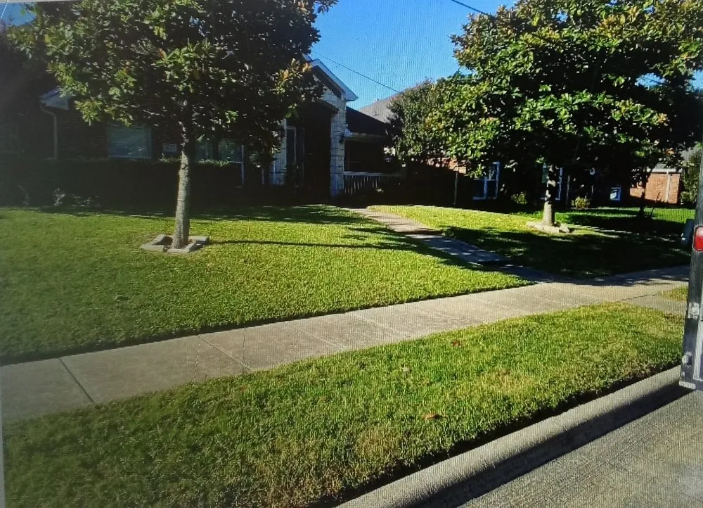 Expert yard cleanup service for beautiful yards across Cedar Hill, TX - AB Services