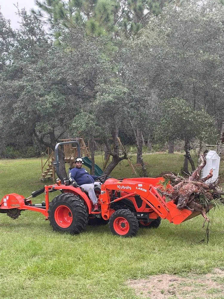 Top-rated landscape installation for residential properties in DeLand, FL by AB Services