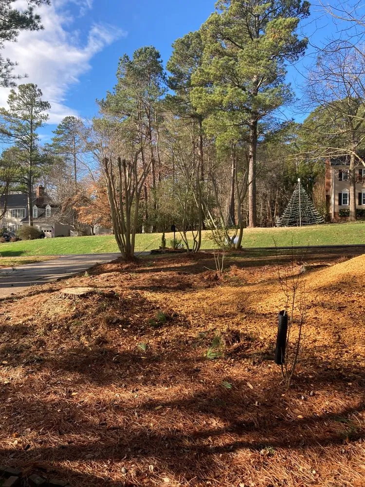 Top-rated outdoor landscaping in Raleigh, NC by Ab Tree Service
