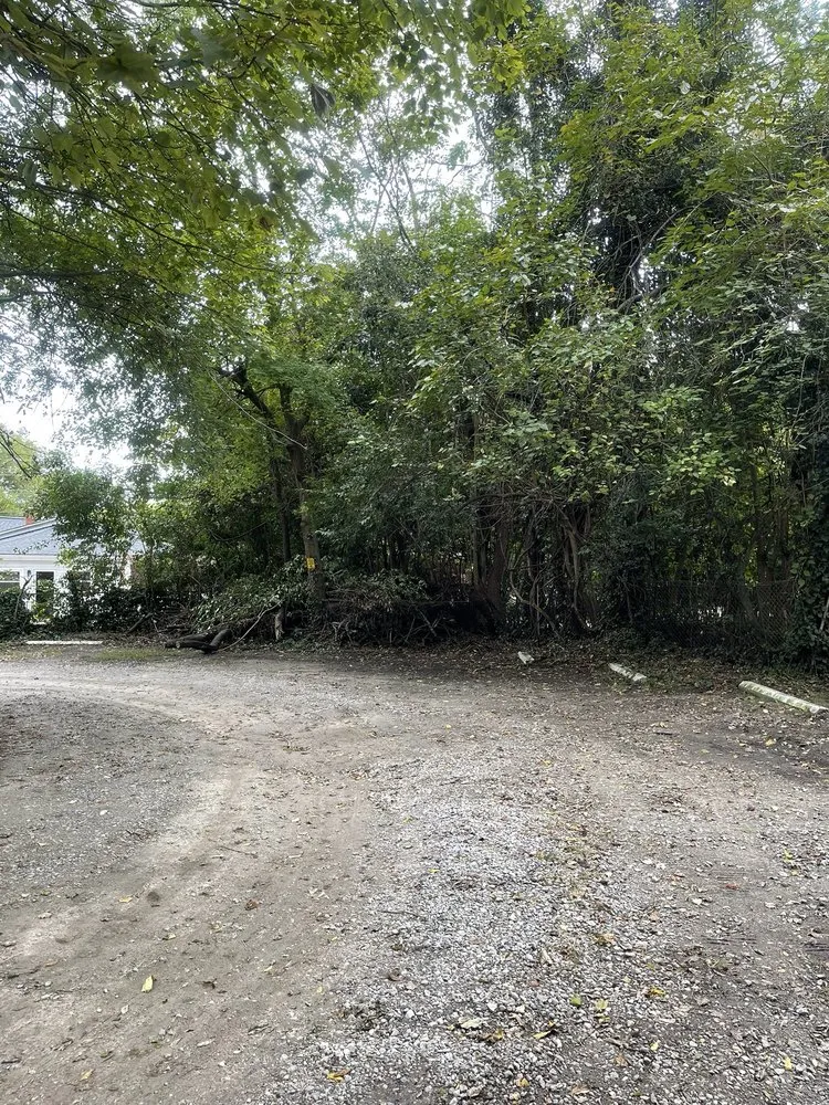 Reliable lawn care service in Raleigh, NC by Ab Tree Service