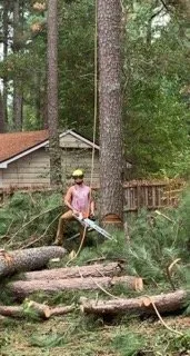Trusted yard maintenance experts serving Raleigh, NC - Ab Tree Service