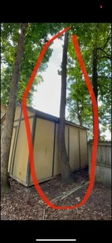 Local outdoor landscaping experts serving Raleigh, NC - Ab Tree Service