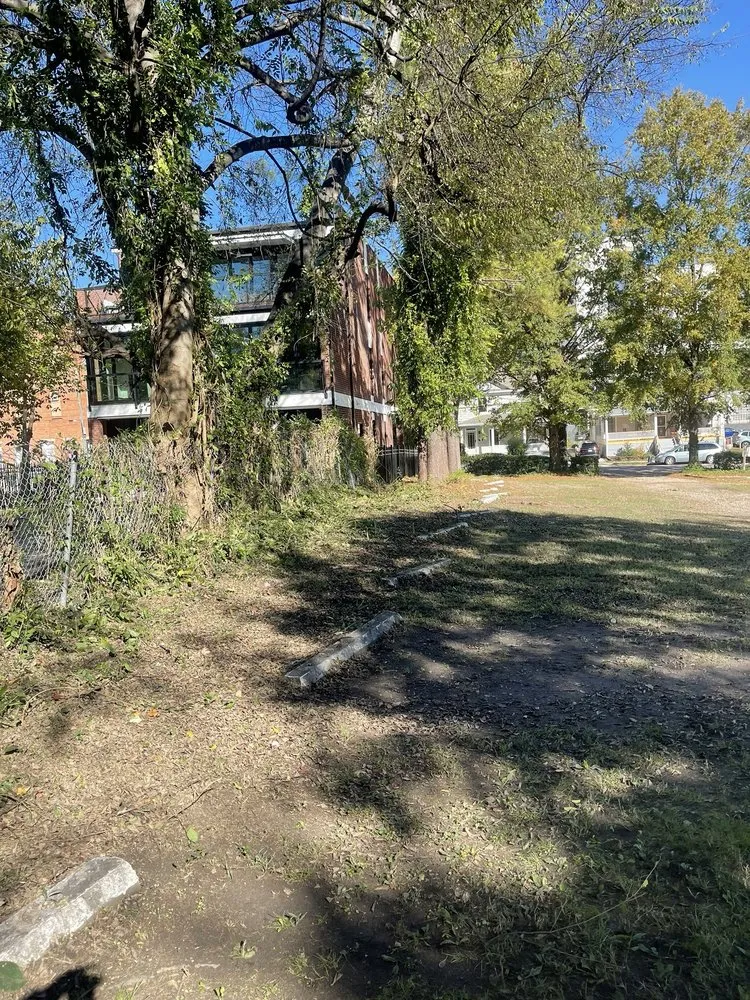 Reliable yard cleanup service for homes in Raleigh, NC by Ab Tree Service