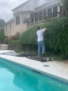 Affordable yard cleanup service in Raleigh, NC - Ab Tree Service