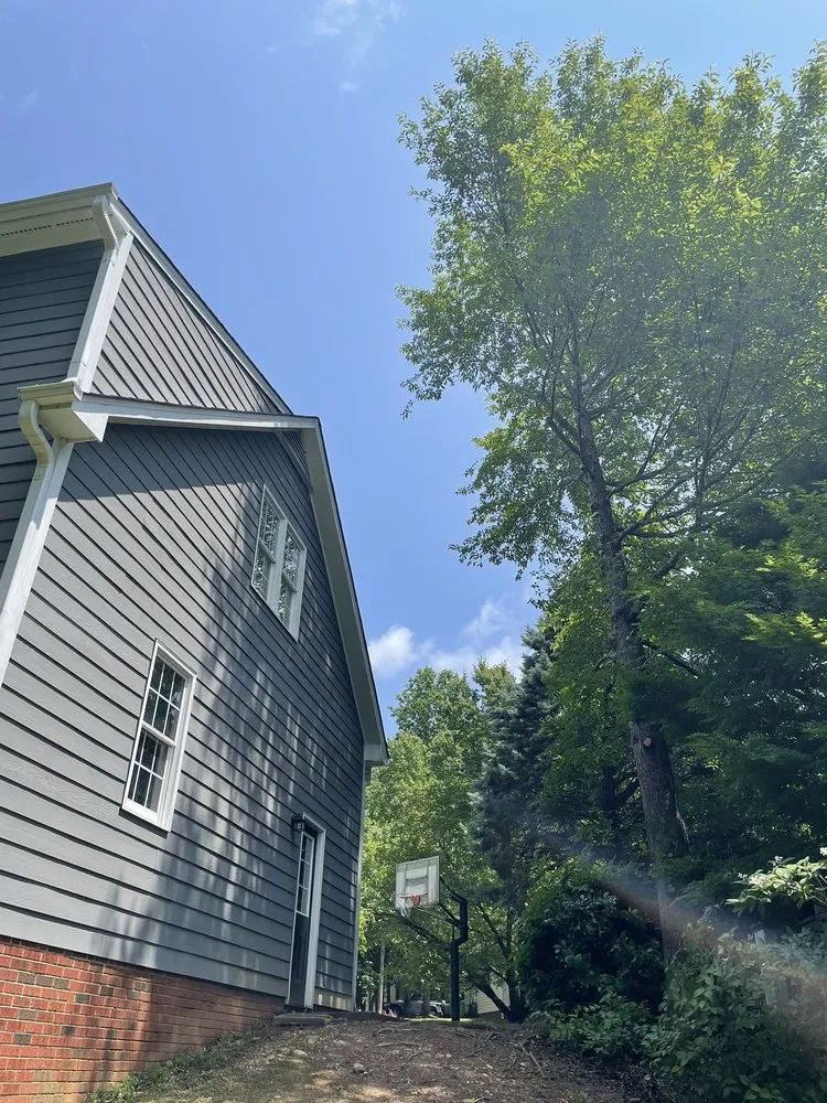 Custom lawn mowing service for year-round maintenance in Raleigh, NC by Ab Tree Service