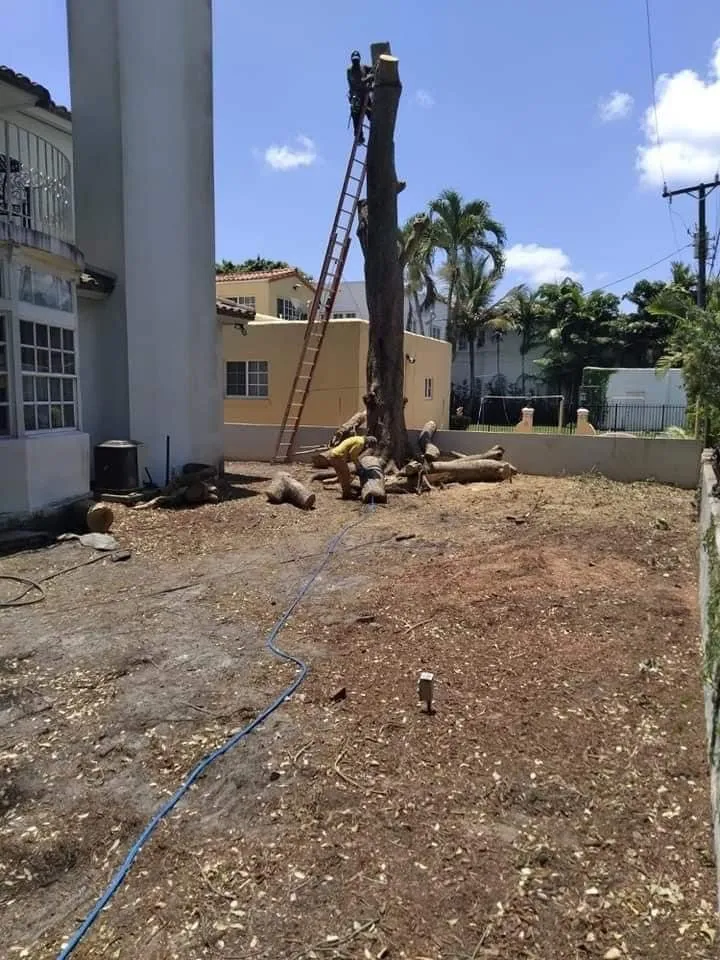 Local garden landscaping experts serving Naranja, FL - A&B Turf & Landscape Design