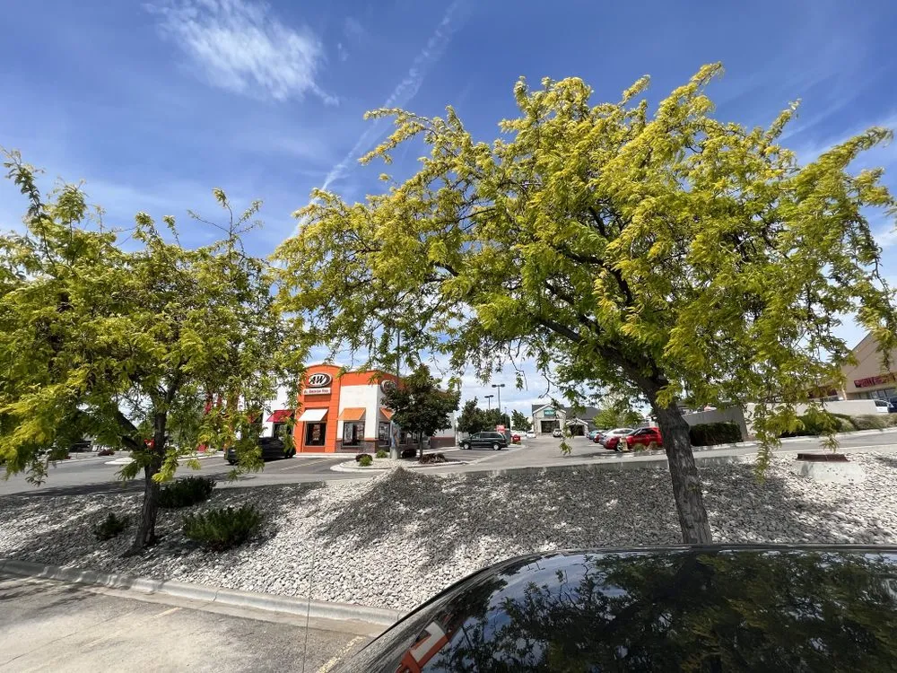 Expert yard maintenance for residential properties in Nampa, ID by ABA Landscaping